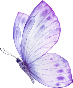 Purple  Violet Watercolor Butterfly